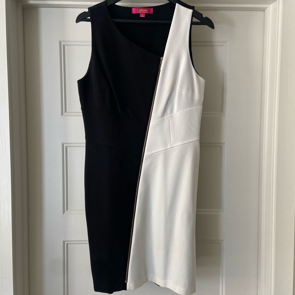 Semi formal fitted sleeveless women’s dress